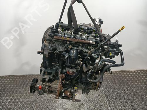 Motor Motor FORD TRANSIT CUSTOM V362 Van (FY, FZ) [2012-2026] 36092465 36092465
