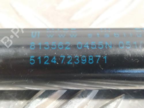 Tailgate lift support BMW 1 (F20)  | BP14358130C138