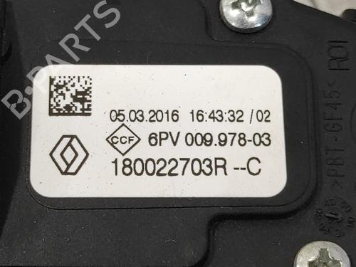 Pedal DACIA SANDERO II 1.5 dCi 75 / Blue dCi 75 (B8JW, B8M4, B8AH, B8M7, B8M6) | BP14358229I4 