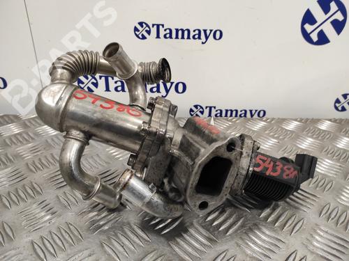 Used Egr FIAT GRANDE PUNTO (199_) 1.3 D Multijet (199.AXD11, 199.AXD1A, 199.AXD1B,... (90 hp) 11792975