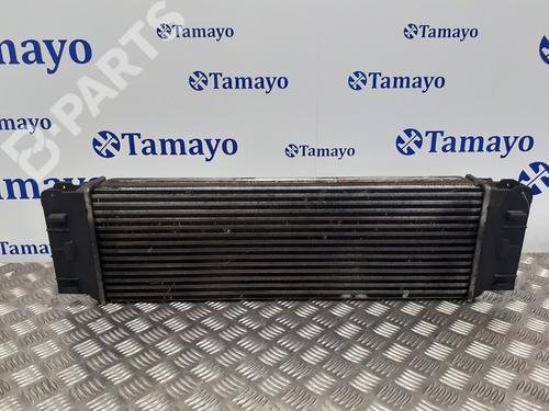 Intercooler MERCEDES-BENZ SPRINTER 3-t Van (B906)  | BP8248307M30 