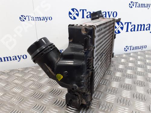 Intercooler NISSAN QASHQAI II (J11, J11_) 1.6 dCi | BP9342011M30 