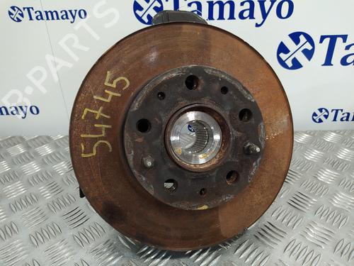 Left front steering knuckle FIAT DUCATO Van (250_)  | BP13379777M25 