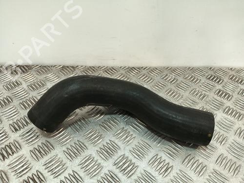 Used Pipe Pipe NISSAN PATHFINDER III (R51) [2005-2026] 33613557 33613557