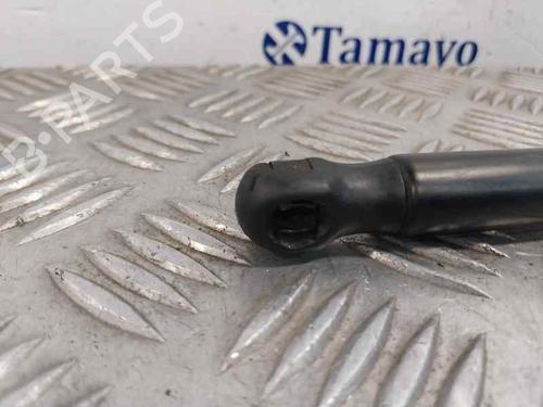 Hood lift support VW TOUAREG (7LA, 7L6, 7L7)  | BP30112650C139 