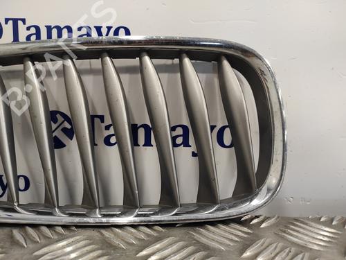 Grille BMW Z4 Roadster (E85)  | BP19647278C40 