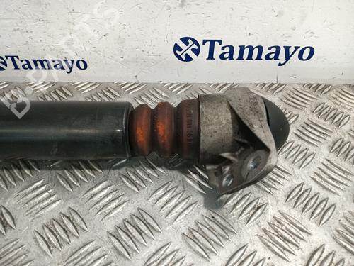 Dämpfer hinten rechts VW PASSAT B6 Variant (3C5) 2.0 TDI 16V | BP29591551M19