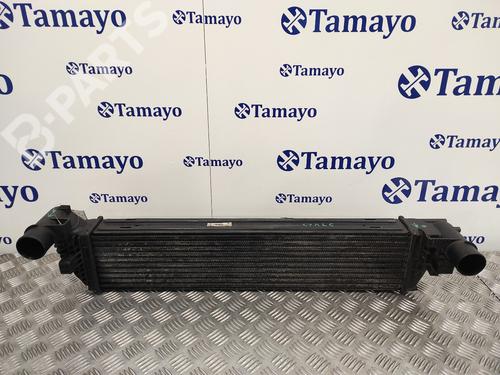 Used Intercooler RENAULT LAGUNA II Grandtour (KG0/1_) [2001-2007]  11798106