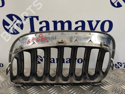 Grille BMW X3 (E83)  | BP12953374C40 
