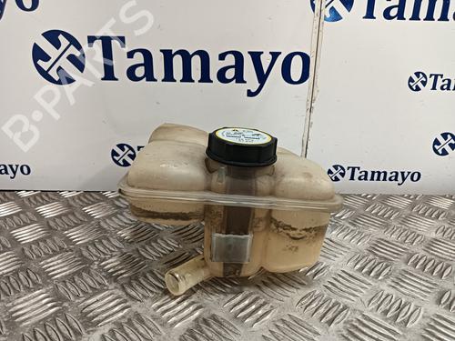 Expansion tank FORD FOCUS C-MAX (DM2) 1.6 TDCi | BP21590297C120 