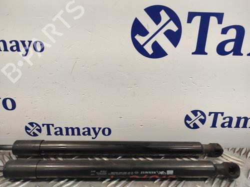 Tailgate lift support RENAULT CLIO IV (BH_)  | BP19341937C138 