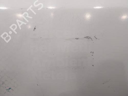 Hood FIAT DUCATO Van (250_)  | BP16093828C1