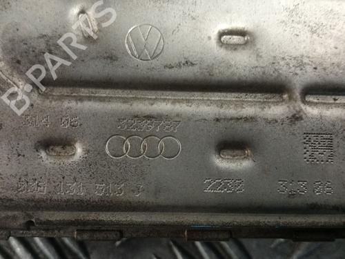 Egr VW GOLF V (1K1) 1.9 TDI | BP29147963M69 