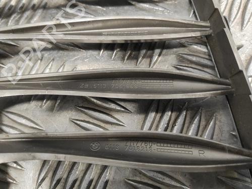 Grille BMW Z4 Roadster (E85)  | BP19647278C40 