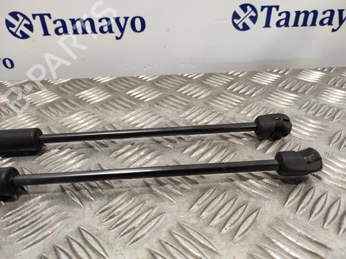 Hood lift support HYUNDAI SANTA FÉ II (CM)  | BP18082234C139 