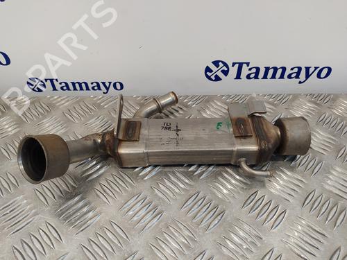 Used Egr MERCEDES-BENZ E-CLASS (W211) E 220 CDI (211.006) (150 hp) 14358327