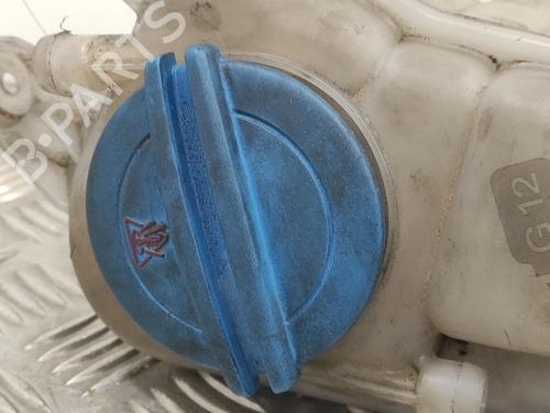 Expansion tank AUDI A4 B8 (8K2) 2.0 TDI 16V | BP12238863C120 