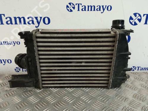 Intercooler DACIA SANDERO II  | BP27269970M30 