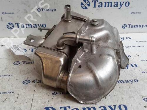 Egr NISSAN QASHQAI I (J10, NJ10) 1.6 dCi | BP14359868M69