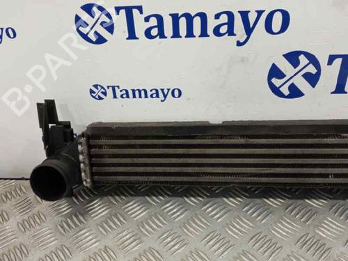 Intercooler VW POLO V (6R1, 6C1) 1.4 TDI | BP24416212M30 