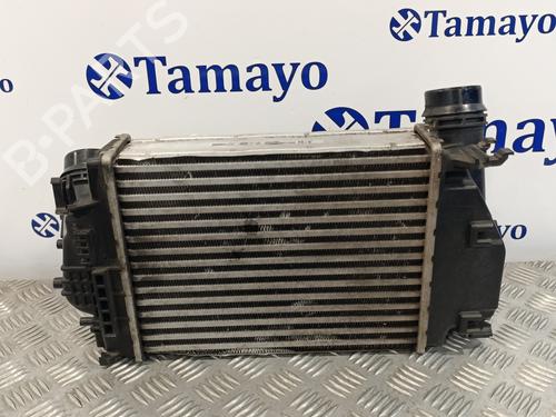 Intercooler NISSAN QASHQAI II (J11, J11_) 1.6 dCi | BP18031160M30 