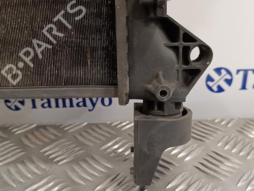 Water radiator FIAT DUCATO Van (250_)  | BP15772417M31 