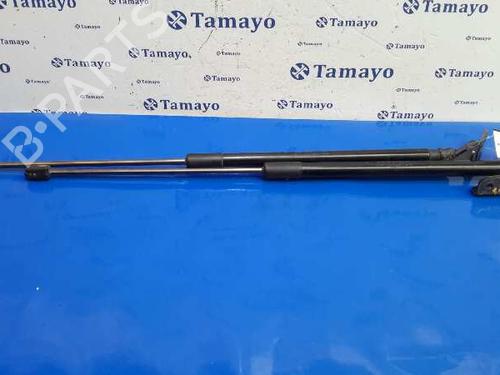 Used Tailgate lift support FORD FOCUS III 1.6 TDCi (115 hp) 14360068