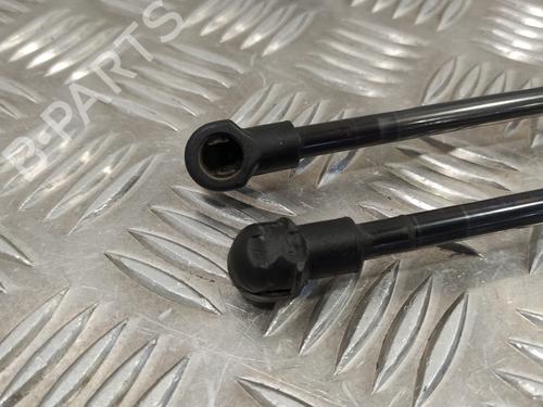 Tailgate lift support BMW 1 (F20)  | BP14358130C138
