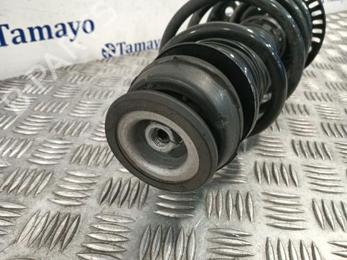 Left front shock absorber VW POLO V (6R1, 6C1)  | BP31165057M16 