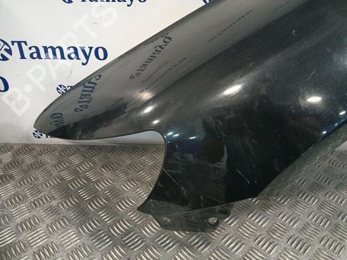 Left front fenders VW TOUAREG (7LA, 7L6, 7L7)  | BP29525729C41 