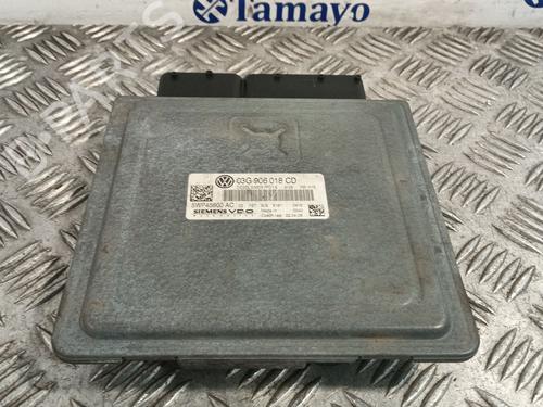 Engine control unit (ECU) VW PASSAT B6 (3C2) | BP31999035M57