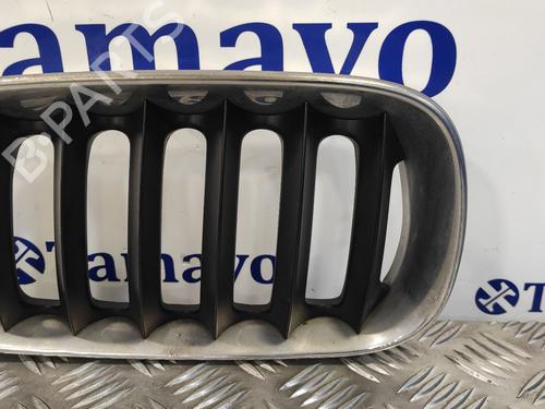 Grille BMW X3 (E83)  | BP12953370C40 