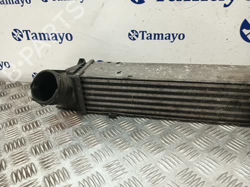 Intercooler BMW 3 (E90) | BP32476033M30