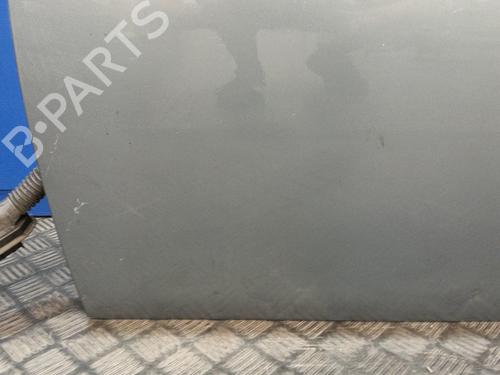 Left front door BMW 3 (E90)  | BP13758219C2 