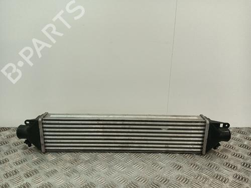 Intercooler FIAT DOBLO Cargo (263_) 1.3 D Multijet | BP35954363M30 - Image 6