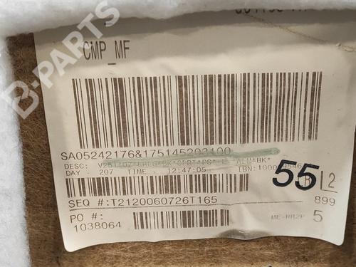 Rear left panel MERCEDES-BENZ R-CLASS (W251, V251)  | BP9294623C60 