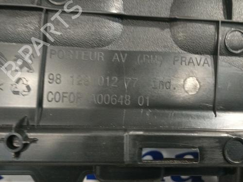 Høyre frontpanel CITROËN C3 II (SC_)  | BP29938409C59