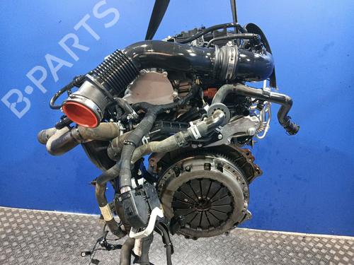 Engine FORD PUMA (J2K, CF7) 1.0 EcoBoost | BP31811067M1 - Image 2