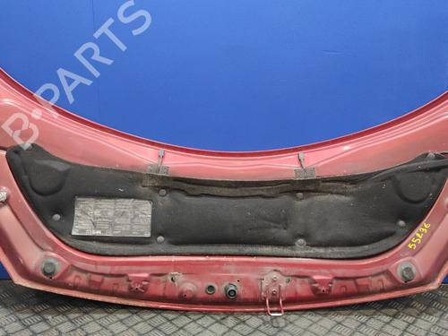 Hood RENAULT GRAND SCÉNIC II (JM0/1_)  | BP13938652C1 