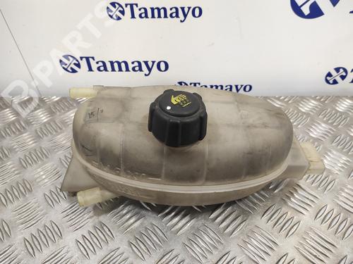 Expansion tank NISSAN PRIMASTAR Van (X83) 2.5 dCi 140 | BP11383901C120