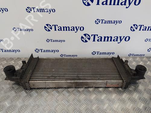 Intercooler MERCEDES-BENZ M-CLASS (W164)  | BP21027725M30 