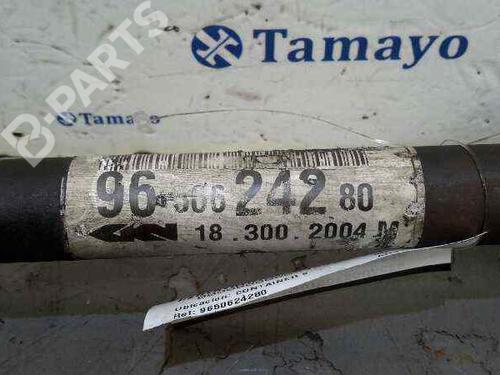 Left front driveshaft CITROËN C2 (JM_)  | BP5397476M38 