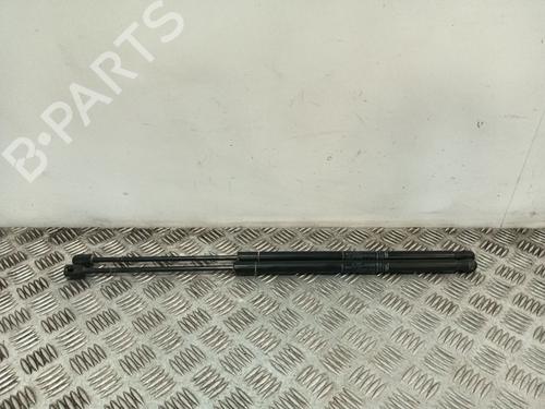 tailgate-lift-support-fiat-qubo-225_-2008-36239322 main image