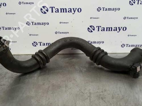 Used Pipe RENAULT VEL SATIS (BJ0_) [2002-2025]  14360224