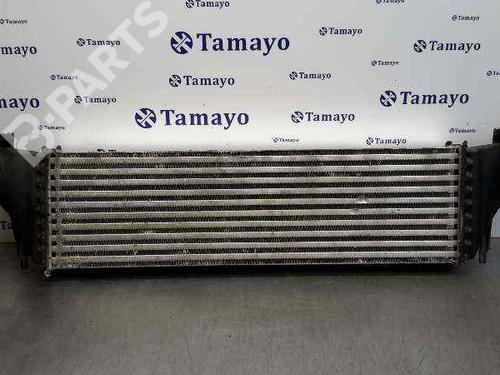 Intercooler BMW X5 (E53) 3.0 d (184 hp) 6597534