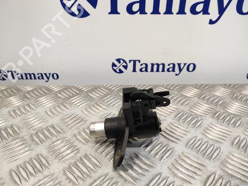 Tailgate handle OPEL ZAFIRA A MPV (T98)  | BP17753186C132 