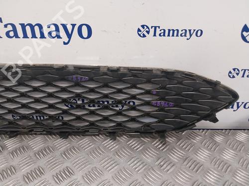 Grille FORD FOCUS III 1.5 TDCi | BP29125677C40 