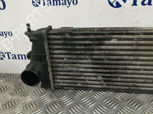 Intercooler OPEL VIVARO A Bus (X83) 2.0 CDTI (F7, J7, A07) | BP29999151M30 