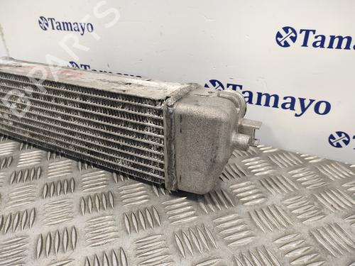 Intercooler TATA INDIGO MARINA (4_V2) 1.4 D | BP22335934M30 