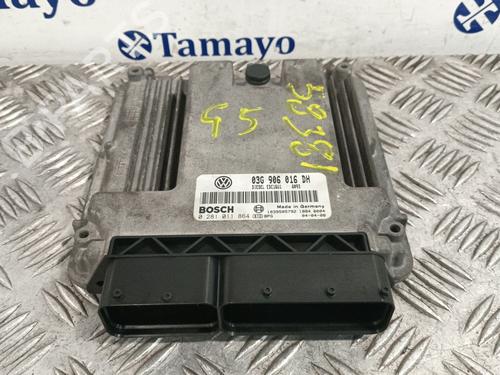 Used Engine control unit (ECU) SEAT ALTEA (5P1) [2004-2015]  31083749